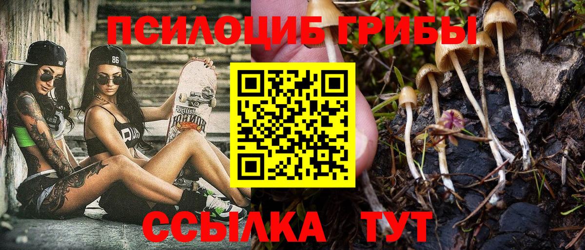 Псилоцибиновые грибы Magic Shrooms  Вход с VPN  Нефтекумск 